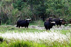 National parks and biosphere reserves in danger