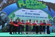 Safari park opened in Binh Dinh province