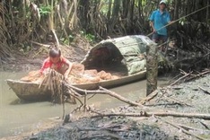 Wastewater treatment plant identified as polluter