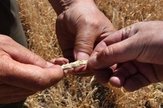 World Bank fears devastating 4.0 degree warming