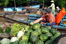 Vietnam announces plan to boost Mekong tourism