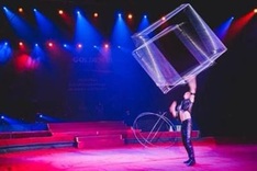 International circus festival to dazzle HCM City during Tet