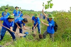 A million trees to give HCM City a fresh look