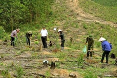 Vietnam leads way in forest protection
