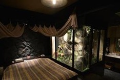 Japan's Love Hotels see business booming