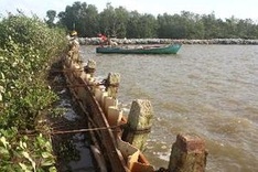 Climate change in Mekong Delta region in spotlight