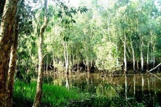 Going fishing in U Minh Thuong
