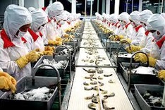 Shrimp industry protests US imposition of anti-dumping taxes