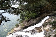 Centre for nature conservation built in Thua Thien-Hue