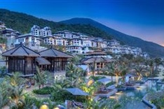 Da Nang proposes reducing scale of 10 projects in Son Tra Peninsula