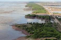 Germany, Australia assist Vietnam forest conservation