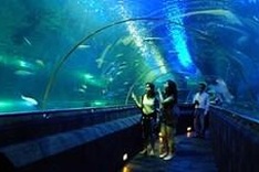 Hanoi inaugurates its largest entertainment complex