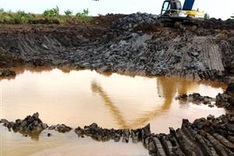 Delta saline intrusion curbs production, puts rice at risk