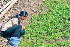 Italy group helps ethnic people have better meals