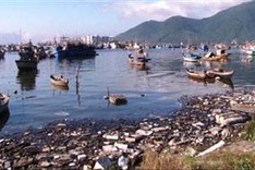 MoNRE reports on status of marine environment in polluted central provinces