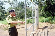 Electric fence not enough to protect elephants: experts