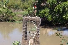 Fish farms blamed for polluted canal