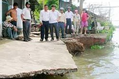 River bank landslides increasing in Mekong Delta