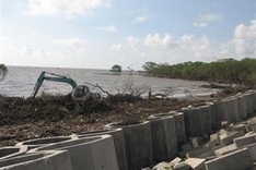 Mekong Delta flood season to strike earlier than usual