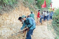 Volunteer network set up in central region