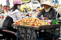 Vietnamese goods fall short in domestic market