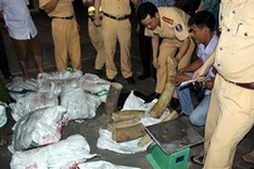 Project to stop illegal ivory trade launched in HCM City