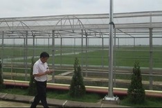 Vietnam launches modern hybrid rice research centre