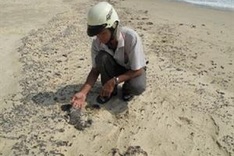 Oil spill worries Quy Nhon fishermen