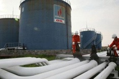 Petrovietnam in talks on stake sale