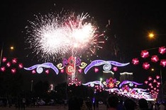 Firework performances welcome the Year of the Monkey