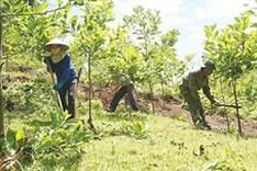 Conference supports low carbon emissions