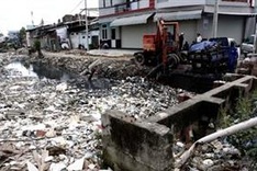 Environment law lifts green ethos