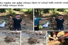 Police interview monkey killer