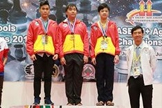 Vietnamese chess tops at SEA championships