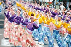 Japanese artists to perform Yosakoi dance in Hanoi