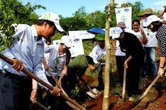 Fund helps grow trees around Dien Bien Phu