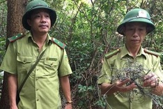 Ha Tinh launches poaching investigation