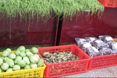 Vietnam opens International Agriculture Trade Fair 2013