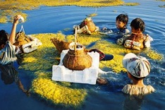 Vietnam through the lenses of young photographers