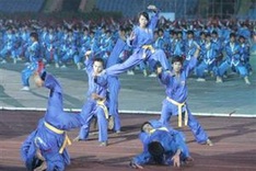 Binh Dinh to host Int’l Vovinam festival