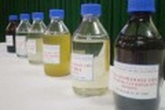 Second Dung Quat’s suspension will add to petrol shortage