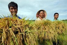 Agriculture sector told to become sustainable