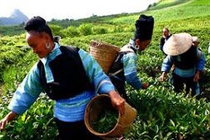 Due attention paid to the poor