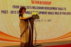 Workshop discusses role of parliament in delivering development goals ahead of IPU-132