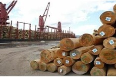 Lack of timber threatens wood industry