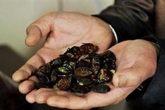 Alien species pose threat to Vietnamese wildlife