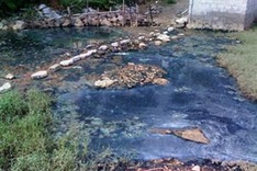 Tay Ninh shuts polluting rubber processors