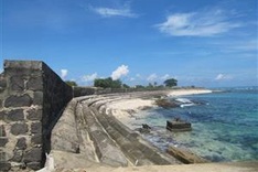 Sea turtle safety awareness plan to launch in 2018