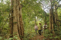 Hydropower plant to swallow national park