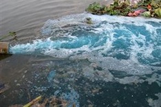 Industrial stench hits angry Phu Tho residents